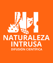 logo-NI